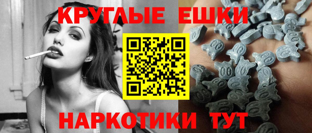 Ecstasy Philipp Plein  blacksprut онион  Экстази  Истра  Вход с VPN 