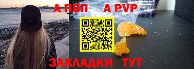 стаф Тара
