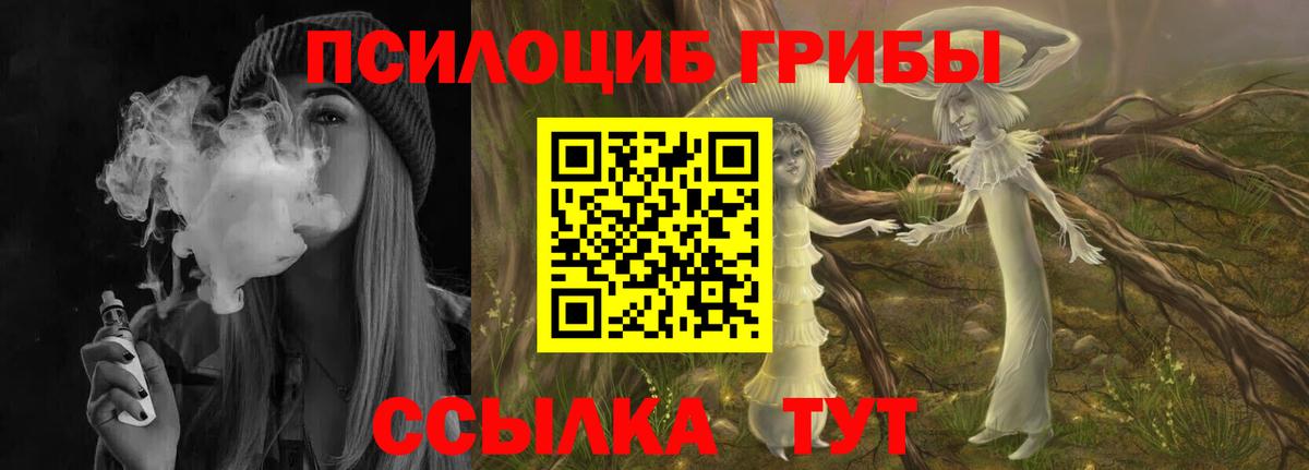 Истра  Псилоцибиновые грибы Psilocybine cubensis  продажа наркотиков  Вход с VPN 